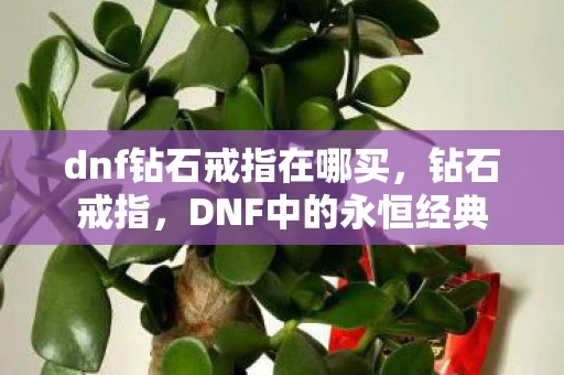 dnf钻石戒指在哪买，钻石戒指，DNF中的永恒经典