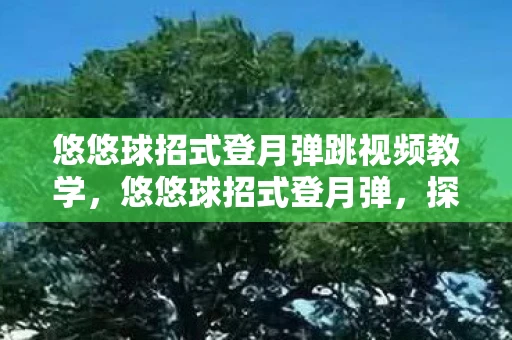 悠悠球招式登月弹跳视频教学，悠悠球招式登月弹，探索技巧与背后的故事