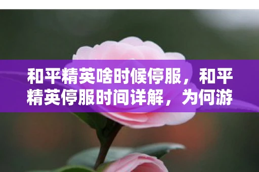和平精英啥时候停服,和平精英停服时间详解,为何游戏会暂停服务? 和平精英啥时候停服,和平精英停服时间详解,为何游戏会暂停服务?
