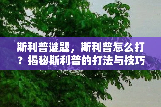 斯利普谜题，斯利普怎么打？揭秘斯利普的打法与技巧