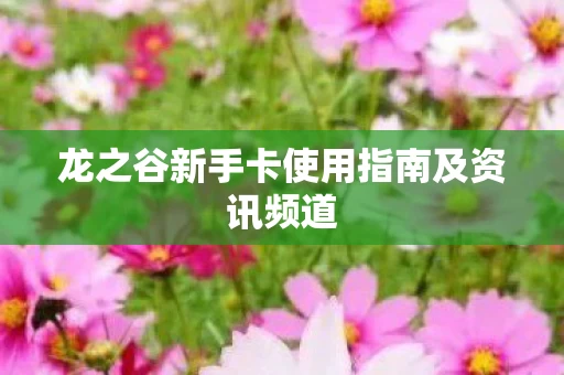 龙之谷新手卡使用指南及资讯频道图片