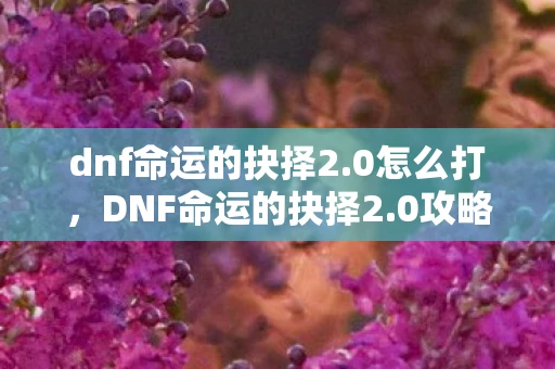 dnf命运的抉择2.0怎么打，DNF命运的抉择2.0攻略，成为最强者的必经之路