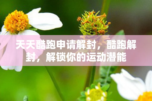 天天酷跑申请解封,酷跑解封,解锁你的运动潜能 天天酷跑申请解封,酷跑解封,解锁你的运动潜能
