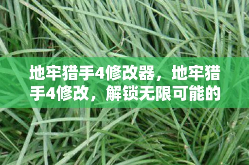 地牢猎手4修改器，地牢猎手4修改，解锁无限可能的游戏体验