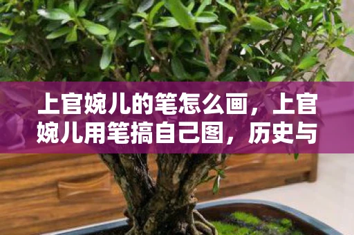 上官婉儿的笔怎么画，上官婉儿用笔搞自己图，历史与艺术的交织