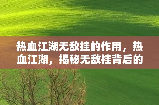 热血江湖无敌挂的作用，热血江湖，揭秘无敌挂背后的真相