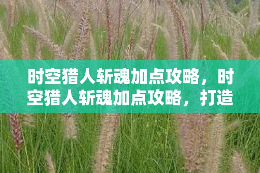 时空猎人斩魂加点攻略，时空猎人斩魂加点攻略，打造最强战斗力的关键