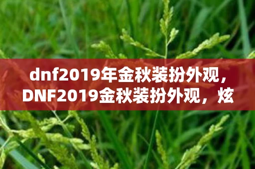 dnf2019年金秋装扮外观，DNF2019金秋装扮外观，炫酷与经典的完美结合