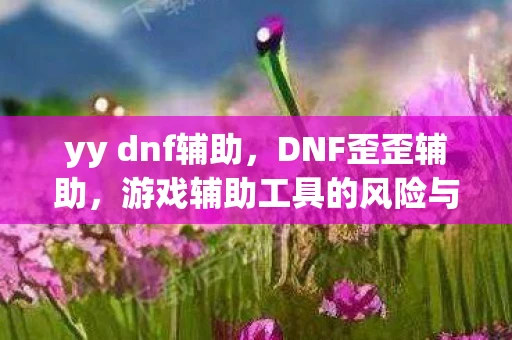 yy dnf辅助,DNF歪歪辅助,游戏辅助工具的风险与合规性探讨 yy dnf辅助,DNF歪歪辅助,游戏辅助工具的风险与合规性探讨