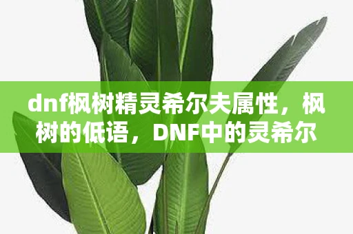 dnf枫树精灵希尔夫属性，枫树的低语，DNF中的灵希尔夫之谜