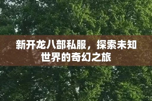 新开龙八部私服，探索未知世界的奇幻之旅