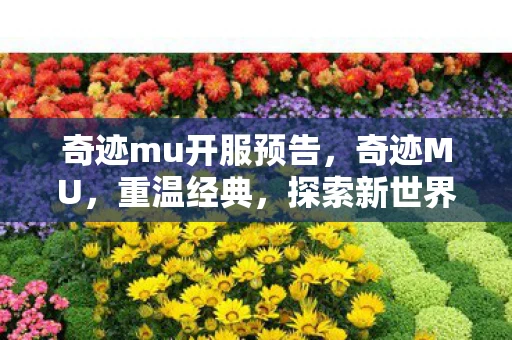 奇迹mu开服预告，奇迹MU，重温经典，探索新世界的奇幻之旅