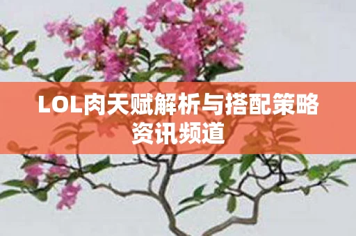 LOL肉天赋解析与搭配策略资讯频道图片