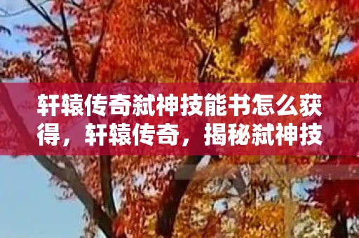 轩辕传奇弑神技能书怎么获得，轩辕传奇，揭秘弑神技能书的传奇故事