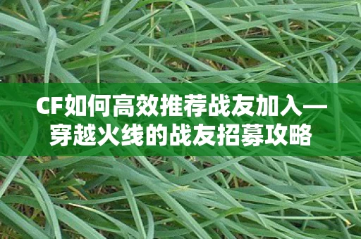 CF如何高效推荐战友加入图片