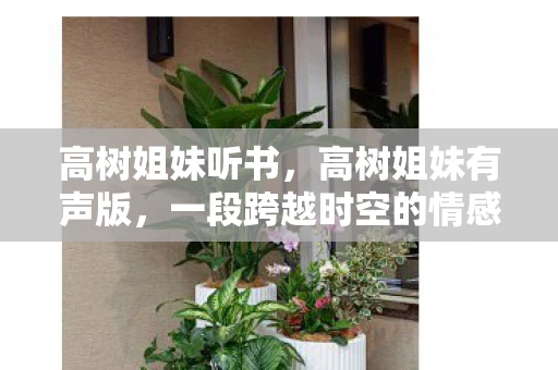高树姐妹听书，高树姐妹有声版，一段跨越时空的情感纽带