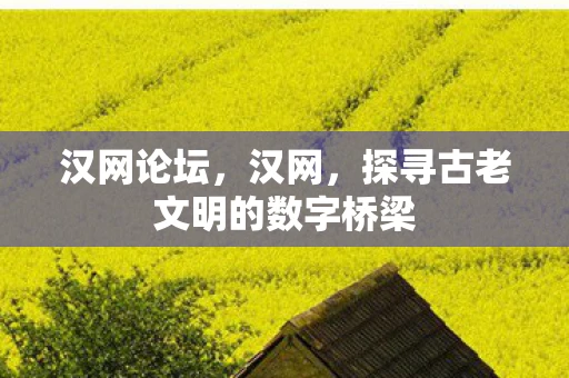 汉网论坛，汉网，探寻古老文明的数字桥梁