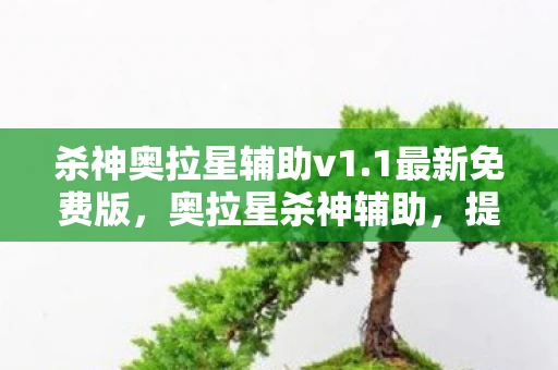 杀神奥拉星辅助v1.1最新免费版，奥拉星杀神辅助，提升战斗效率的神秘利器