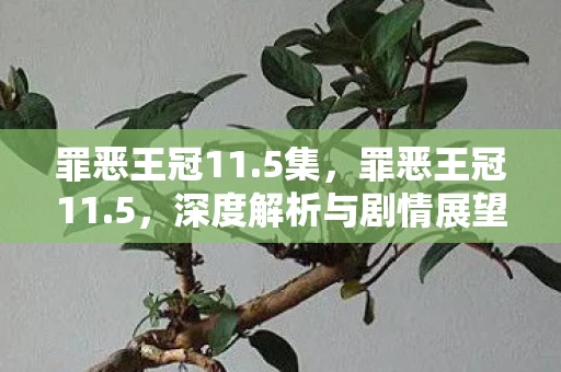罪恶王冠11.5集，罪恶王冠11.5，深度解析与剧情展望