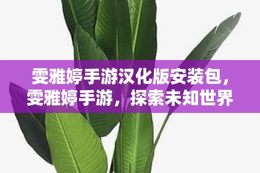 雯雅婷手游汉化版安装包，雯雅婷手游，探索未知世界的奇妙之旅