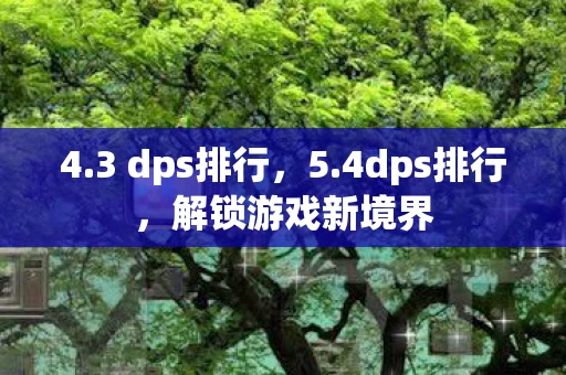 4.3 dps排行，5.4dps排行，解锁游戏新境界