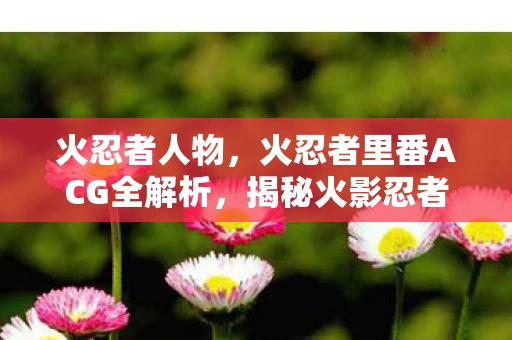 火忍者人物,火忍者里番ACG全解析,揭秘火影忍者中的隐藏世界 火忍者人物,火忍者里番ACG全解析,揭秘火影忍者中的隐藏世界