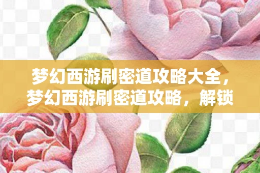 梦幻西游刷密道攻略大全，梦幻西游刷密道攻略，解锁隐藏成就，提升角色实力