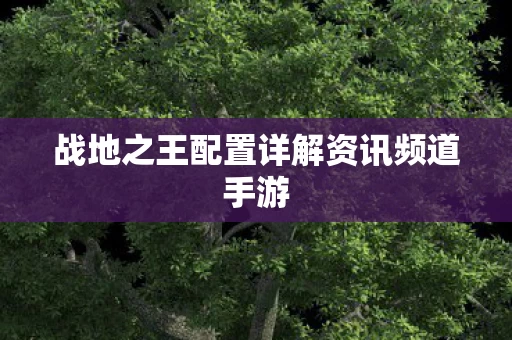 战地之王配置详解资讯频道手游图片