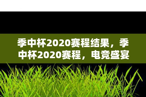季中杯2020赛程结果，季中杯2020赛程，电竞盛宴的激情碰撞