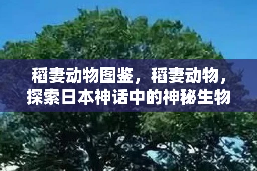 稻妻动物图鉴，稻妻动物，探索日本神话中的神秘生物