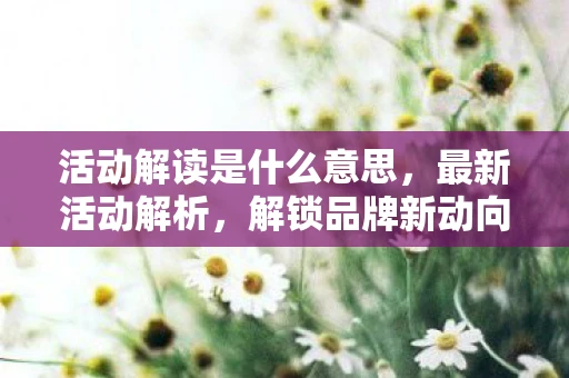活动解读是什么意思，最新活动解析，解锁品牌新动向
