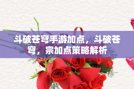 斗破苍穹手游加点，斗破苍穹，宗加点策略解析