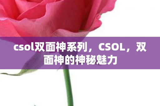 csol双面神系列，CSOL，双面神的神秘魅力