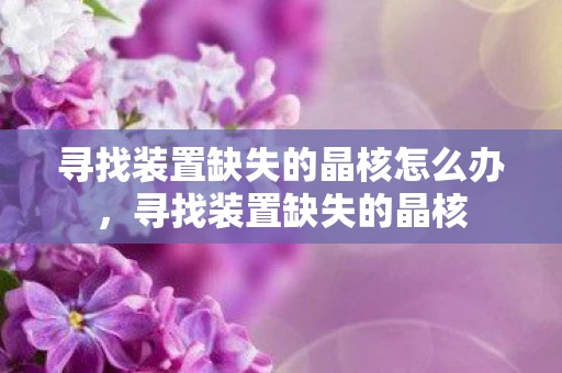 寻找装置缺失的晶核怎么办,寻找装置缺失的晶核 寻找装置缺失的晶核怎么办,寻找装置缺失的晶核