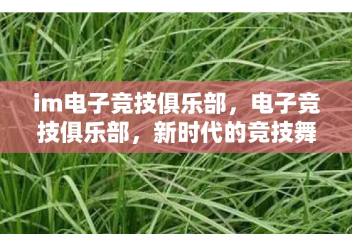 im电子竞技俱乐部，电子竞技俱乐部，新时代的竞技舞台