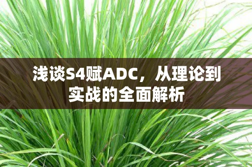浅谈S4赋ADC，从理论到实战的全面解析
