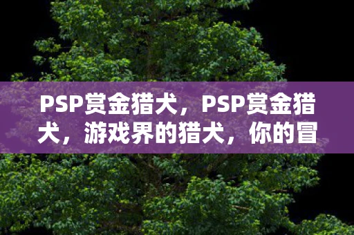 PSP赏金猎犬,PSP赏金猎犬,游戏界的猎犬,你的冒险伙伴 PSP赏金猎犬,PSP赏金猎犬,游戏界的猎犬,你的冒险伙伴