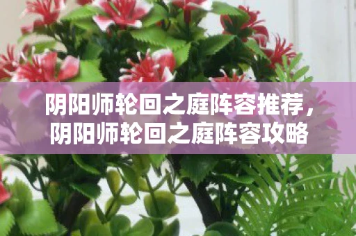 阴阳师轮回之庭阵容推荐，阴阳师轮回之庭阵容攻略