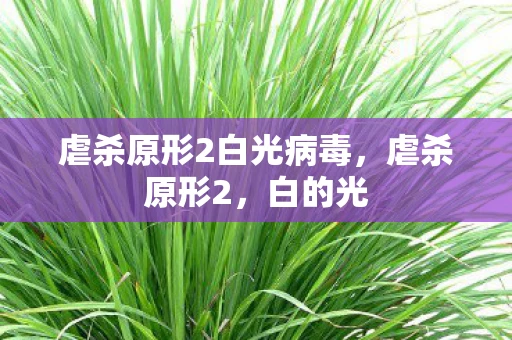 虐杀原形2白光病毒,虐杀原形2,白的光 虐杀原形2白光病毒,虐杀原形2,白的光