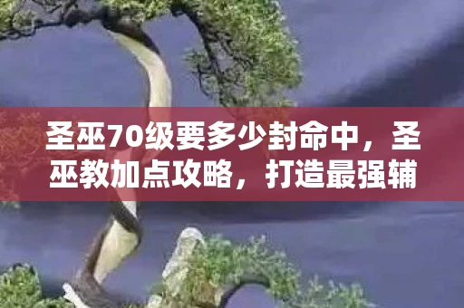 圣巫70级要多少封命中，圣巫教加点攻略，打造最强辅助角色