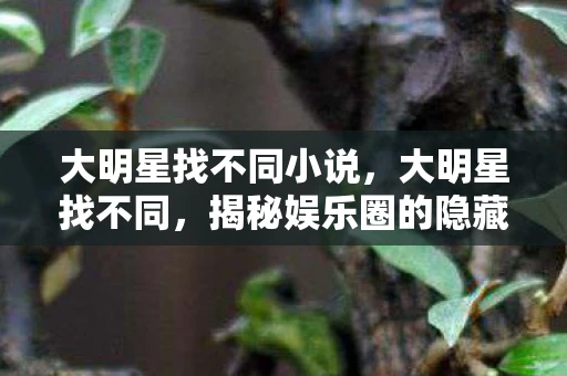 大明星找不同小说，大明星找不同，揭秘娱乐圈的隐藏差异