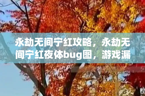 永劫无间宁红攻略，永劫无间宁红夜体bug图，游戏漏洞与玩家社区的争议