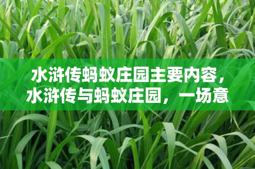 水浒传蚂蚁庄园主要内容，水浒传与蚂蚁庄园，一场意外的跨界碰撞