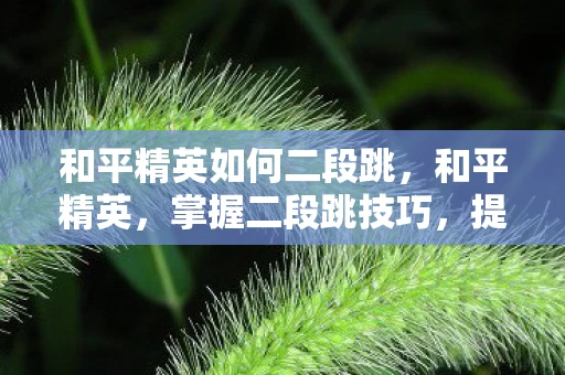 和平精英如何二段跳，和平精英，掌握二段跳技巧，提升游戏竞技水平