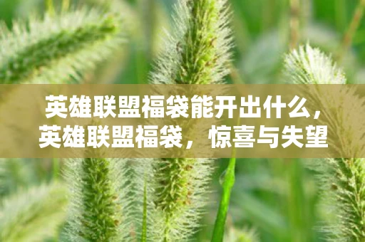 英雄联盟福袋能开出什么，英雄联盟福袋，惊喜与失望的交织