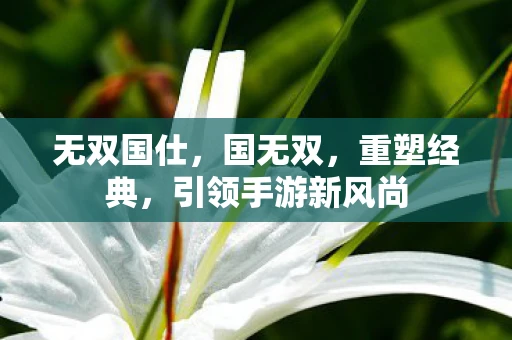 无双国仕，国无双，重塑经典，引领手游新风尚