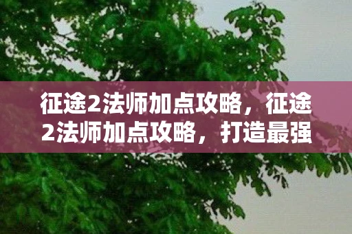 征途2法师加点攻略，征途2法师加点攻略，打造最强法师阵容