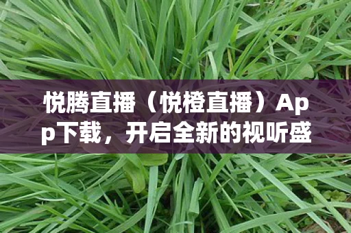 开启全新的视听盛宴图片
