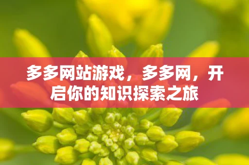 多多网站游戏,多多网,开启你的知识探索之旅 多多网站游戏,多多网,开启你的知识探索之旅