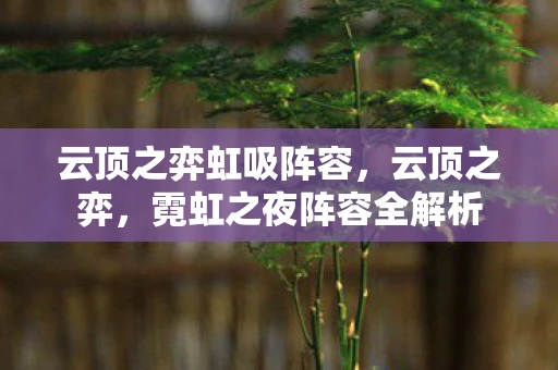 云顶之弈虹吸阵容，云顶之弈，霓虹之夜阵容全解析